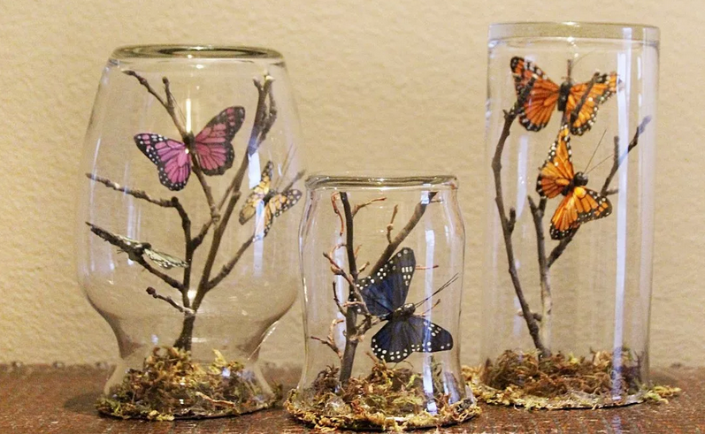 DIY Butterfly Collection