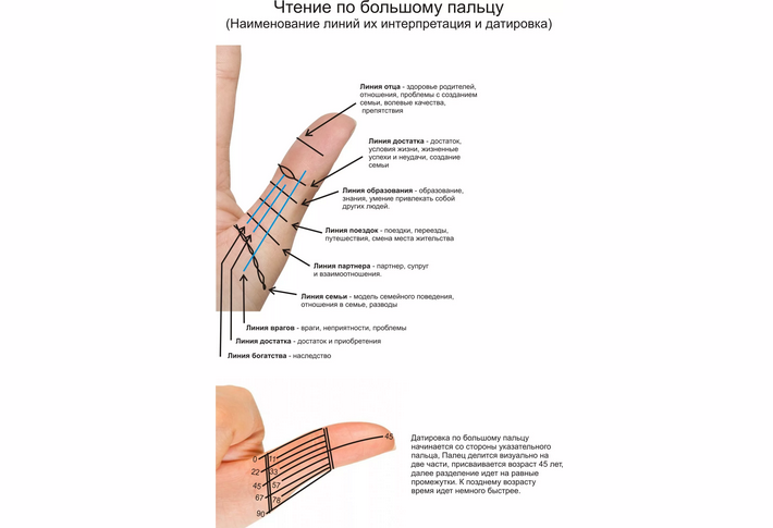 Линии на большом пальце правой руки
