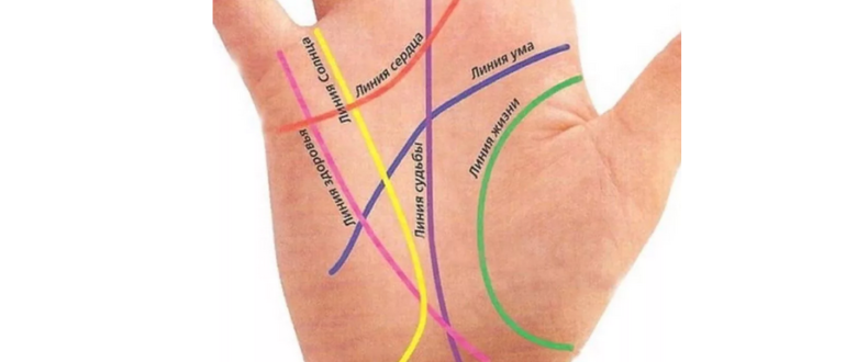 Linjer i höger handflata: Betydelse