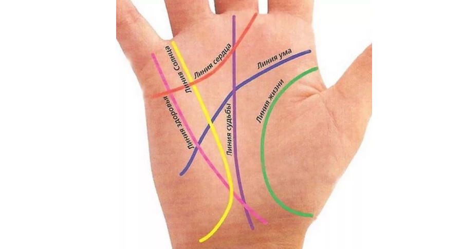 Линии на ладони правой руки: значение