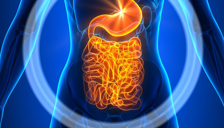 Tanda -tanda yang dikirim oleh organ dan sistem tubuh