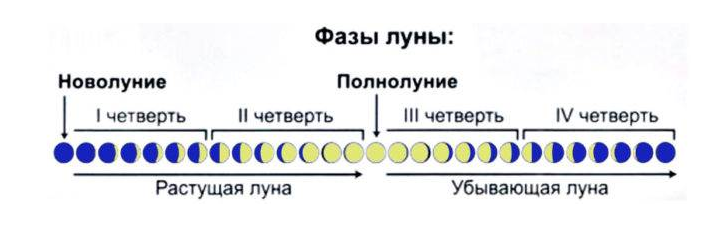 Лунные фазы