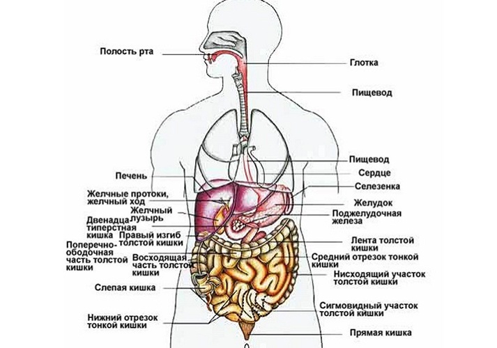 Posouzení