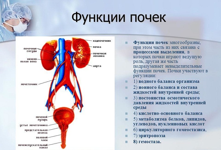 Функции 