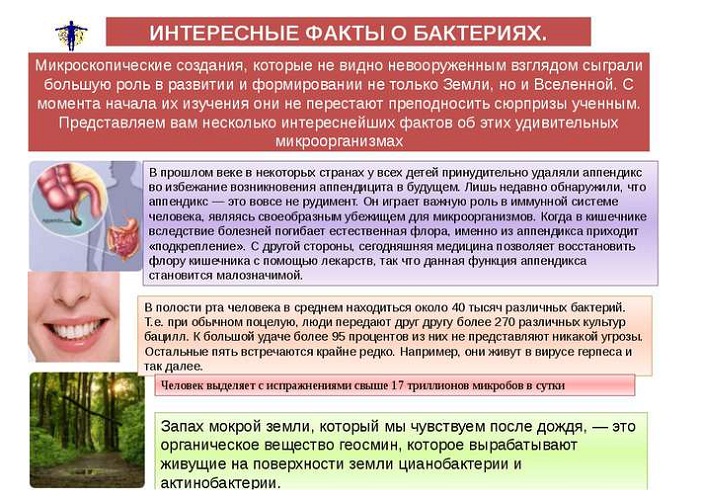 Еще несколько интересных фактов 