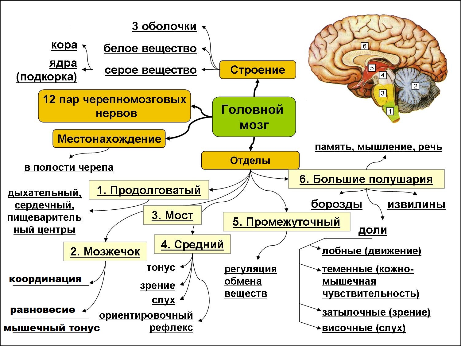 Структурная функциональность 