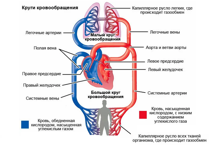 Круговорот 