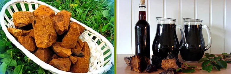 Tingtur Birch Mushroom Chaga