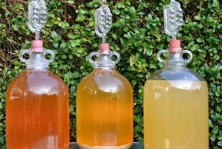 Poměr cukru, vody a kvasinek (žijící na suchém a alkoholu): pro Mash Moonshine