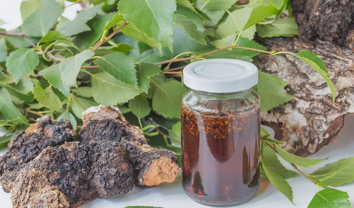 Birch Houba Chaga s psoriázou