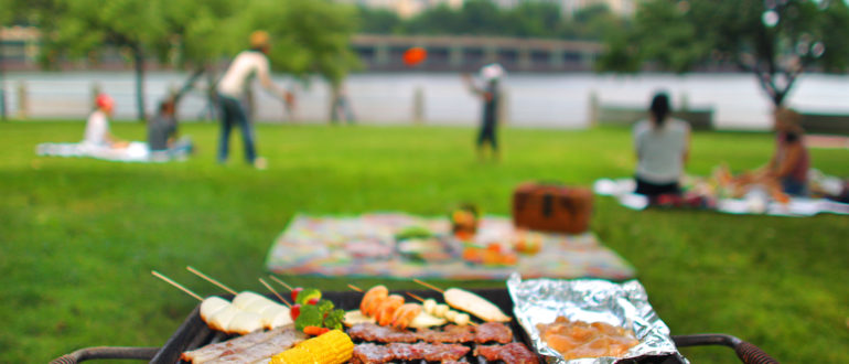 Co si vzít na piknik kromě grilu?