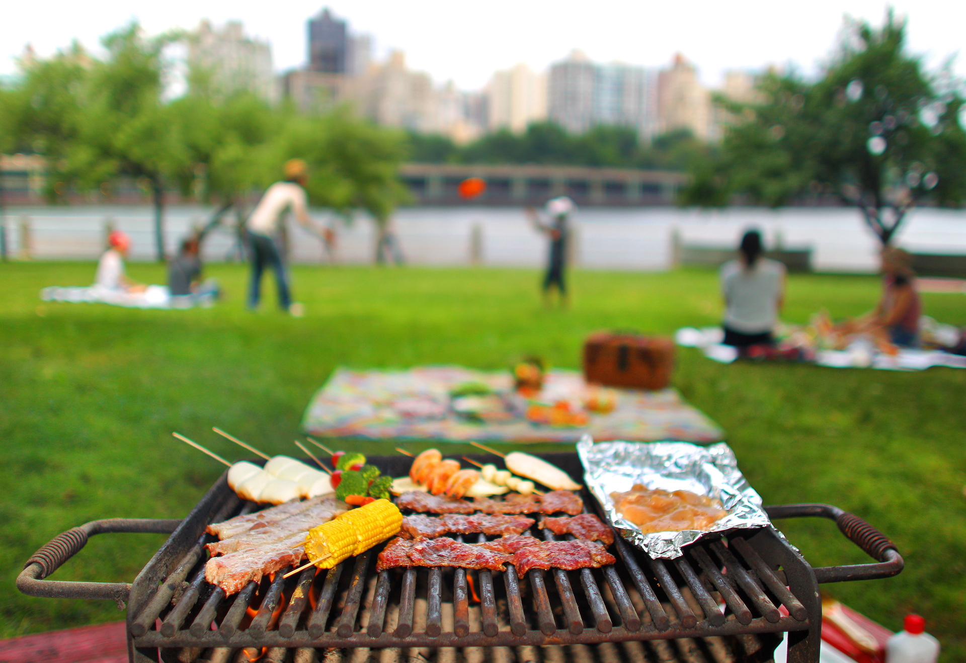 Co si vzít na piknik kromě grilu?