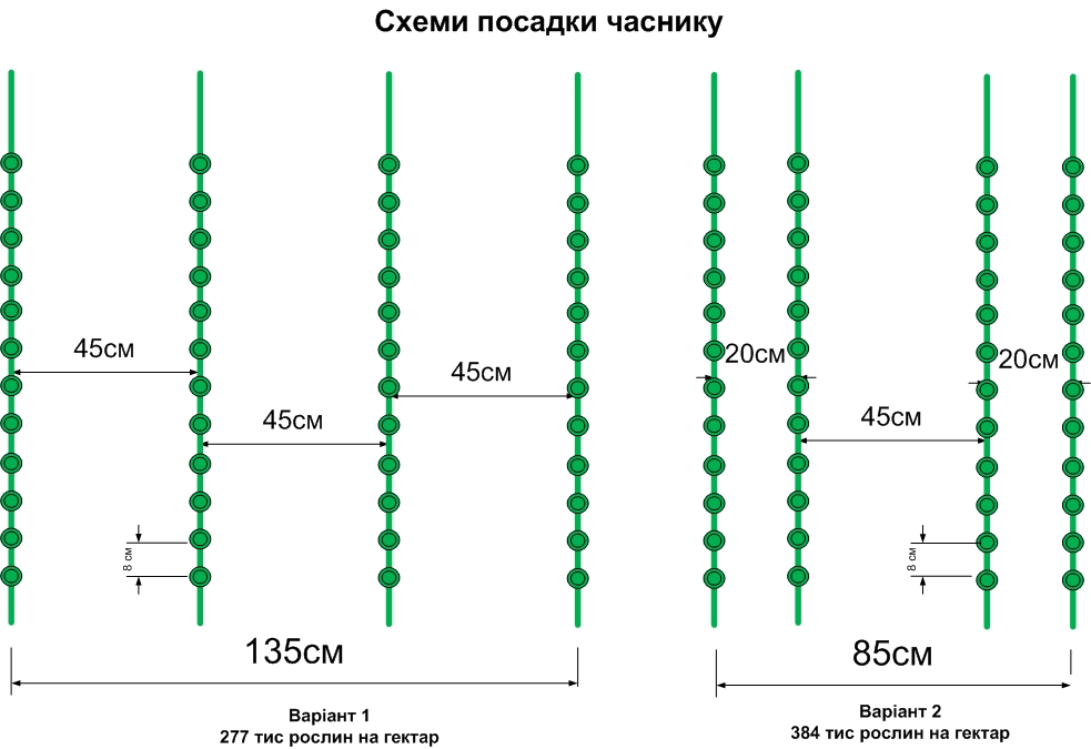 Схема посадки