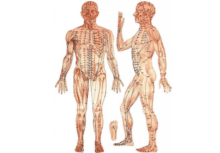 Atlas léčivých bodů na lidském těle