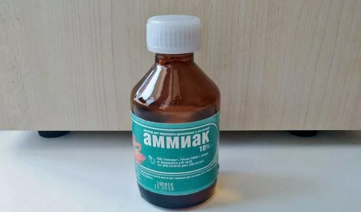 Mšice na okurkách - co dělat: Amoniak alkohol