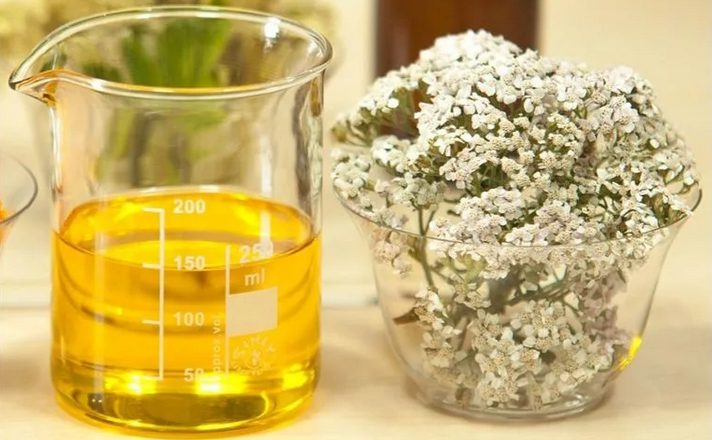 Dana terbaik dari kutu daun di mentimun: infus yarrow