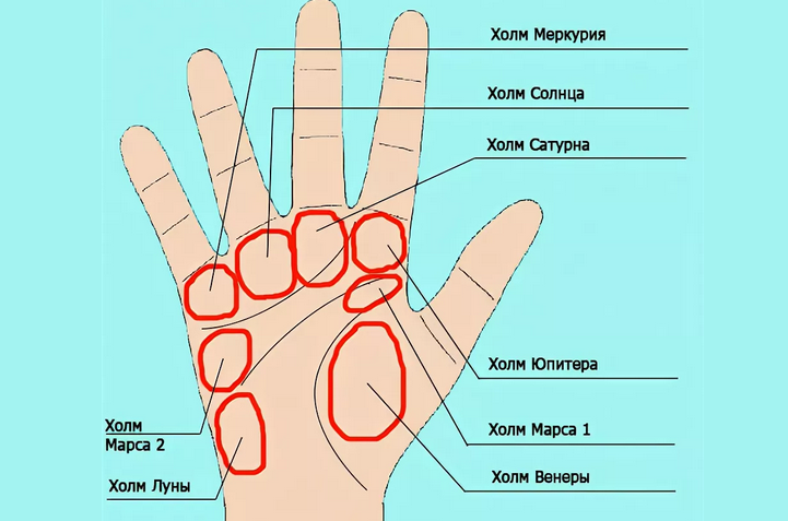 Bugrs dan bukit di palmistry