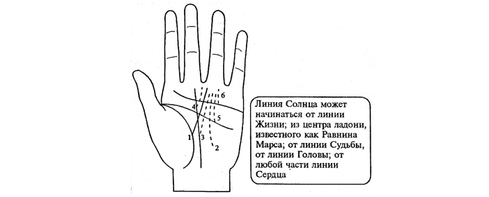 Линия Солнца на ладони