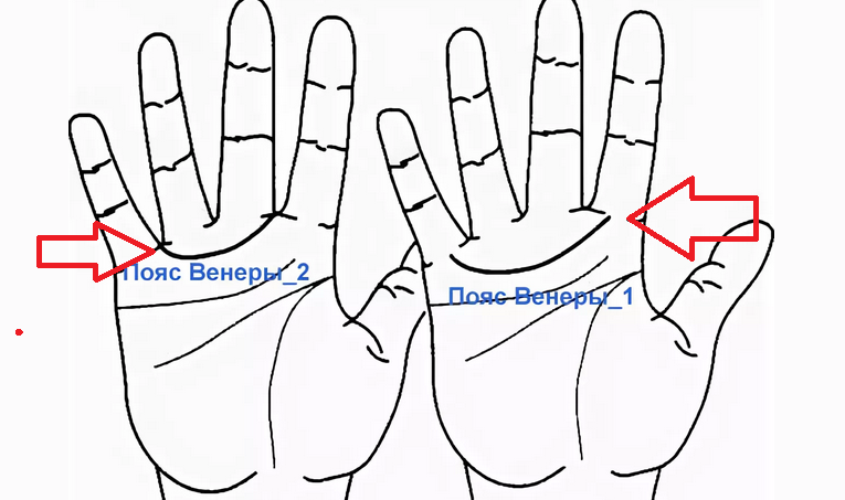Хиромантия — пояс Венеры