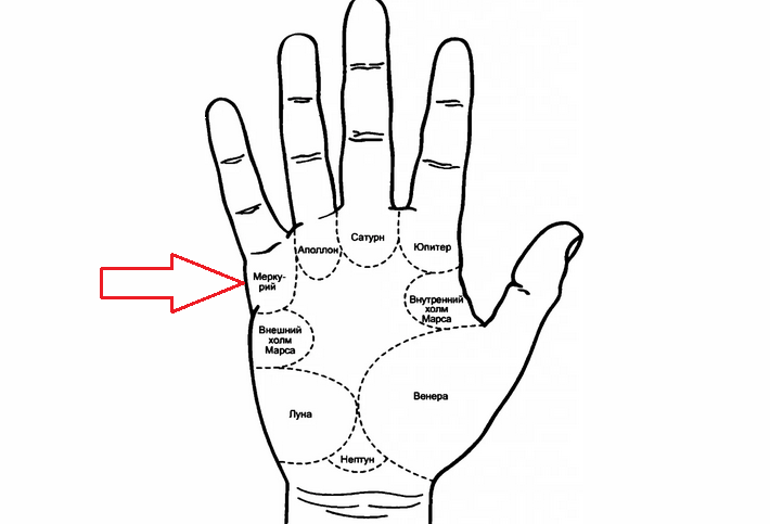 Mercury Hill och linjer på den på handen i Palmistry