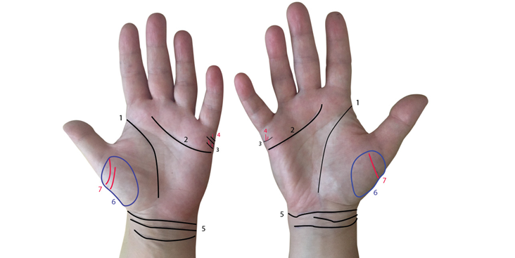 Palmistry, förmögenhetsberättelse - Barn måste titta på båda händerna