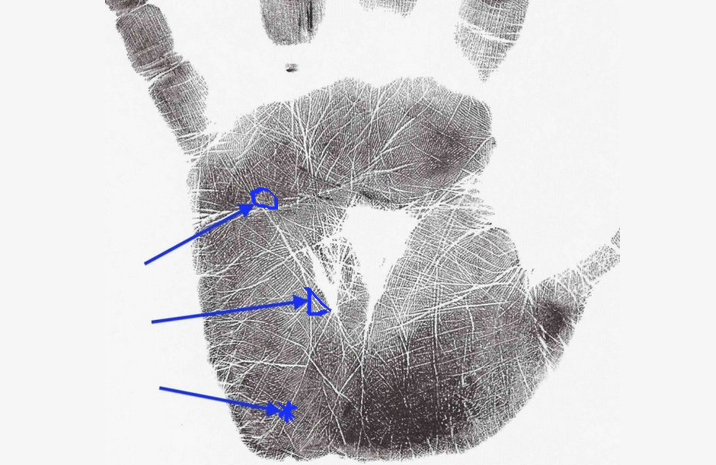 Tanda Rahasia di Garis Intuisi