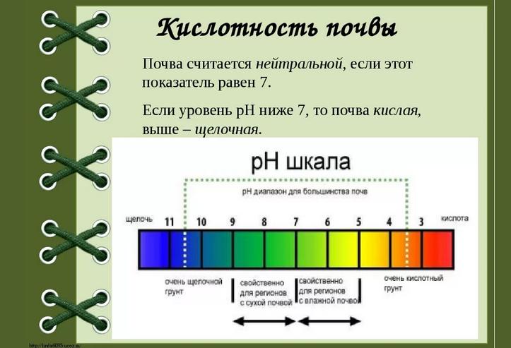 Шкала для определения pH почвы для выращивания голубой гортензии