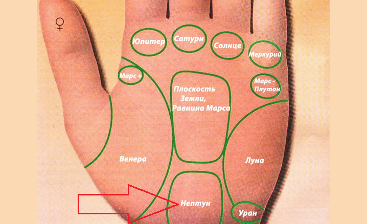 Bukit Neptunus dan Garis -garis di Tangannya di Palmistry