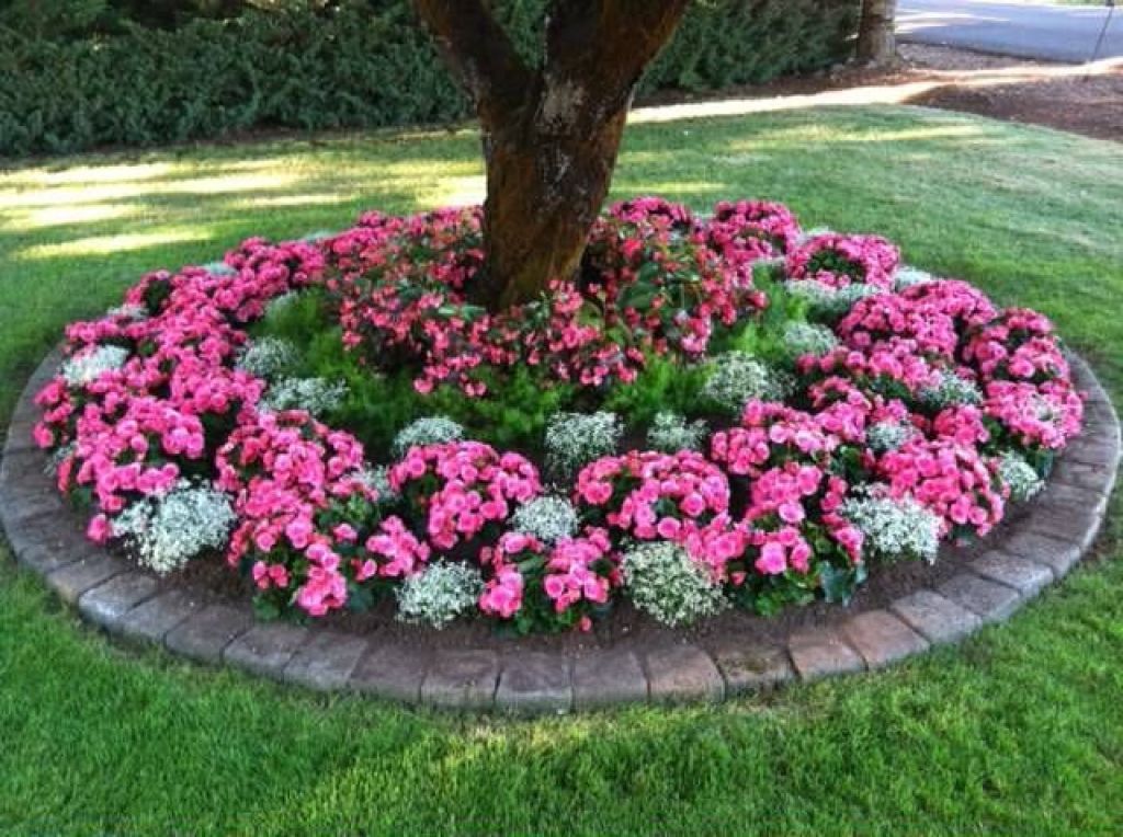 Rosa blomsterbädd nära ett träd